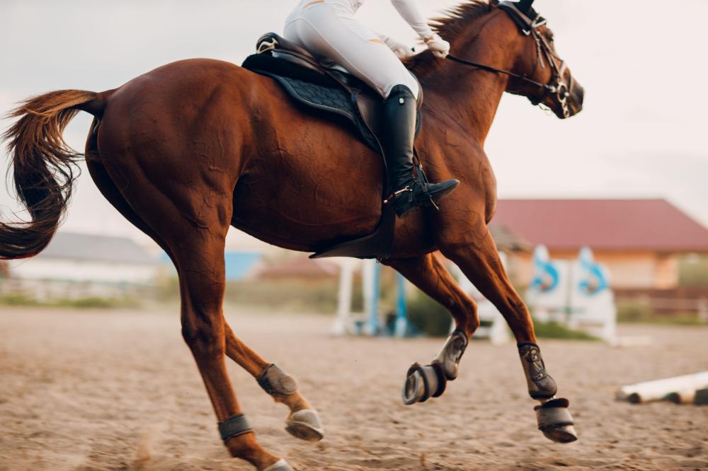 cheval